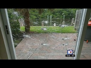 Hurricane impact windows foil thieves