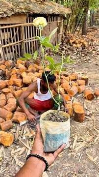 Amazing Process of Making a Beautiful Wooden Flower Pot. #viral #diy