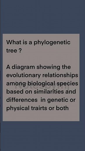 What is a Phylogenetic Tree? 🌳 | Evolutionary Biology How are we related to every living thing? 🧬