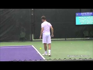 Richard Gasquet- Slow Motion Serves in HD