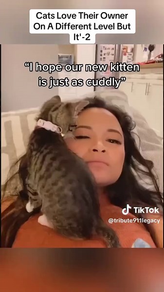 Cats Show Love for Their Owners Like Never Before
