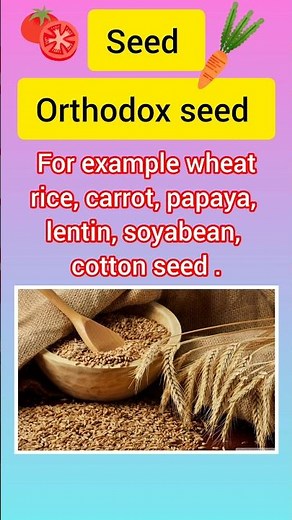 Orthodox and Recalcitrant Seed // Genetic and plant Breeding // Types Of Seed