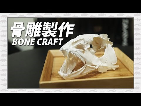 【CZB手作】另類的紀錄魚獲方式，魚頭骨雕製作過程！耍午魚|藍笛鯛|綠短鰭笛鯛 BONE CRAFT Aprion virescens