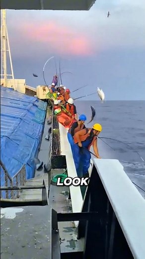 How Do They Catch Tuna Without Bait? 🎣