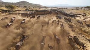 Immerse yourself into the plains of Africa when you experience The Lion King in IMAX cinemas. Starting this Friday, see everything the light touches on the biggest screens possible. Secure your seats: po.st/TheLionKingIMAX | IMAX | Facebook