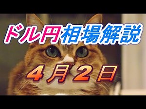 [FX] USD/JPY exchange rate forecast and previous day's movements explained using charts. Also inc...