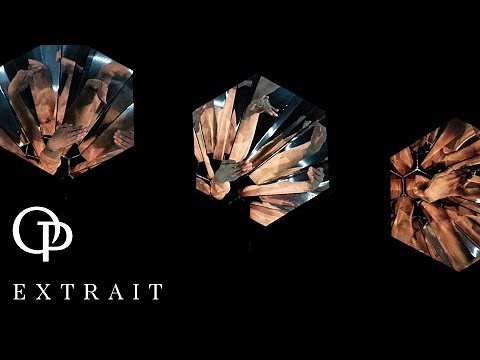 Tree of Codes by Wayne McGregor