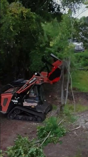How to Change the Oil in Your Lawn Mower 🛢️ #MowerDIY #MechanicTips