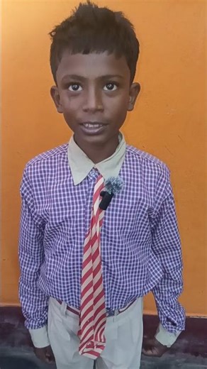 I can make Project for school,