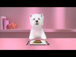 Cute Dog Commercial