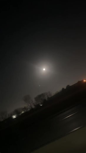 Shannon ✌️ (@shannondoe73)’s videos with Dancing in the Moonlight - King Harvest