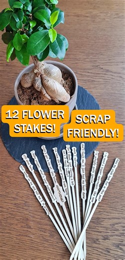 Sarcastic Flower / Plant Stake Signs | Funny Flower Markers | Laser Cut - Etsy