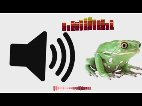 What Do FROGS Really Sound Like?