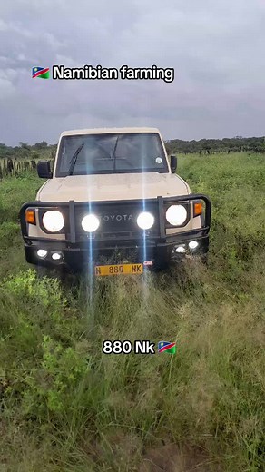 #namibiantiktoker🇳🇦 #zimtiktokers🇿🇼🇿🇼🇿🇼