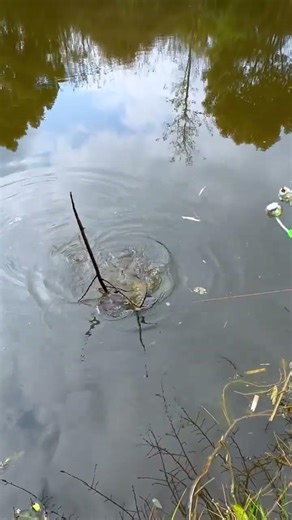 Immersive Thai Spa Experience in Nighttime Paris - Shuimu & Footdo