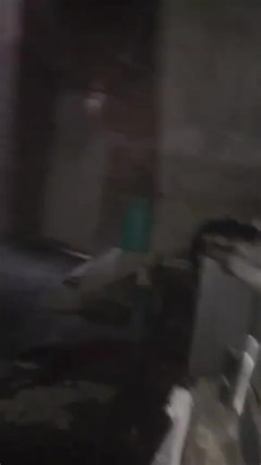 Maree (@mareee903)’s videos with original sound - Maree