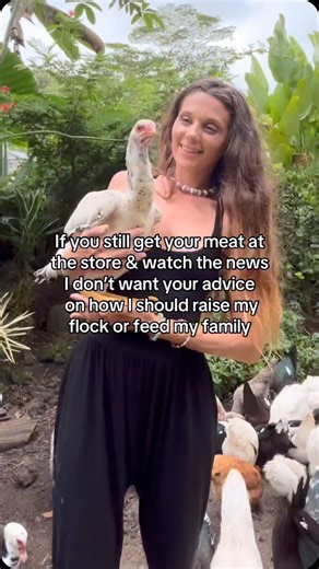 8.9K views · 12 reactions | Of course I had to have the tallest chicken in the world join the flock 﫶 #offgrid #inthejungle #homesteader #motherhood #indiogigante #tallestchickenintheworld #rarebreeds #selfsustainable #farmer | Jungle Fairy Farm | Facebook