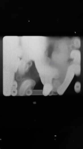 Mr. Poppy's Nativity Adventure at Christmas