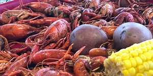 Feed Your Soul: Rhett's Tails and Shells