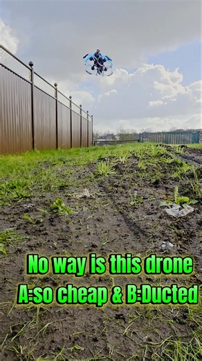 Budget FPV Drone… But It Flies Like a Beast?!