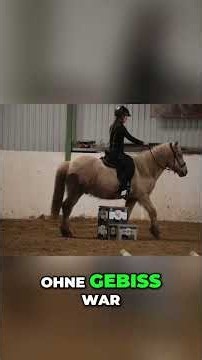 Loading your horse? Learning to ride? How to conquer EVERY obstacle! #shorts