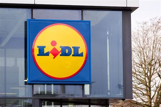 Tired of vegging on the sofa? Embrace the beautiful outdoors with Lidl’s £20 hiking boots - Netmums