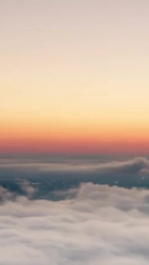 Curious Minds on Reels