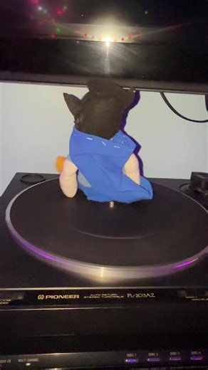 John on da turntable #johnegbert #homestuck #homestuckjohnegbert #ectobiologist #johnhomestuck