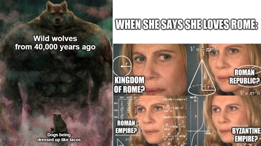 17 History Memes So You Can Pretend You Learned Something Today