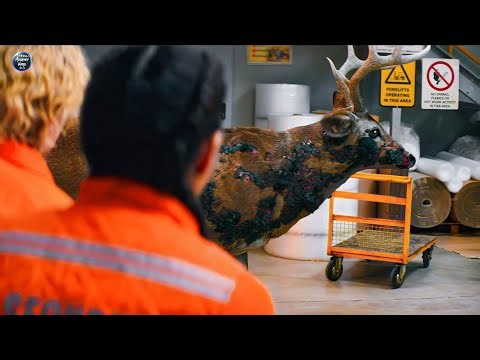عمال بالغلط بيحررو طفيلي زومبي بينتشر في العالم كله بسرعة البرق🧟 |ملخص فيلم Cold storage