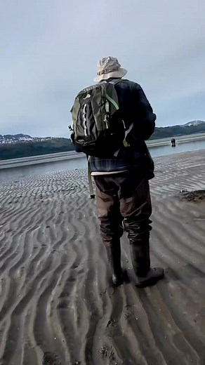 📍#Alaska 😳😳 A bluff charge encounter by a grizzly bear. Never run ...