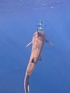 Ocean Ramsey on Reels
