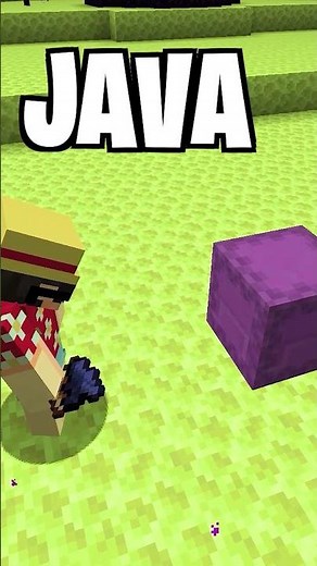 250 Java vs Bedrock: Big Differences You Need to Know in Minecraft! ‪@Bubuplayz‬