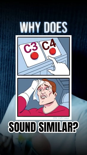 Why does C3 and C4 sound similar? #music #notes