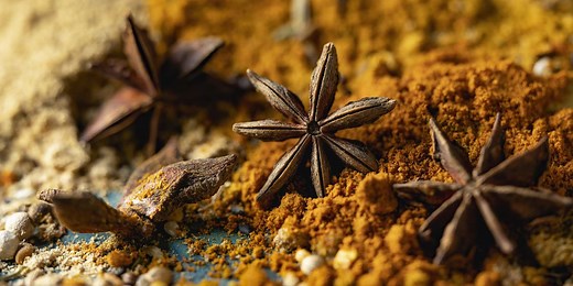 Grab These 8 Spices When You're out of Star Anise