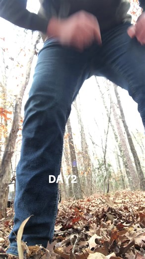 Day 2 of bring down dead trees