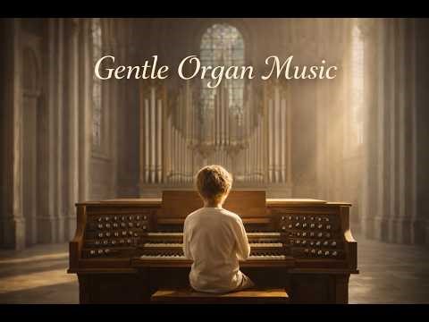 Background Organ Music for Work and Study