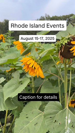 Top Weekend Events in Rhode Island: AUG 15-17  Full guide at...