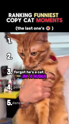 Ranking The Funniest Copy Cat Moments 😂👀