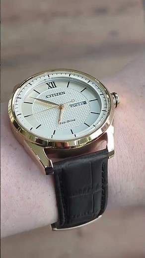 Bring a new elegance to your day with this Citizen Eco-Drive Classic