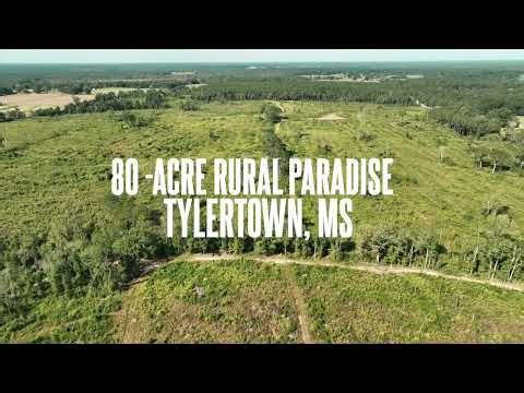 80-Acre Rural Paradise in Dexter, MS | Hunting, Recreation & Endless Potential