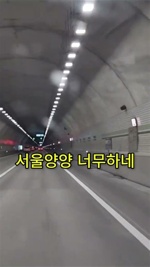 상남5터널 느낌있다 #상남터널#상남5터널#감성#터널#여운#shorts#쇼츠 #travel#고속터미널역#automobile#tunnel#vlog#여행 #바다#mountains #태풍