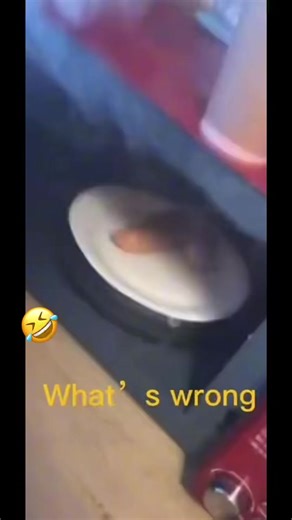 Roof burning #meme #viral #fyp #comedу #funny #food #burning #microwave #fire