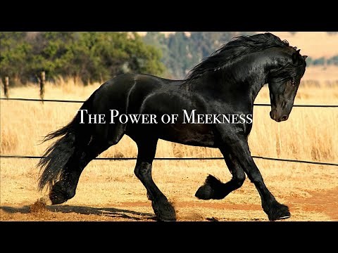 The Power of Meekness