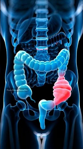 7 conseils efficaces pour éviter la constipation naturellement