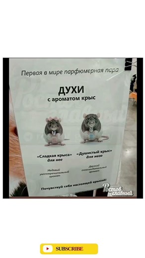 Когда учебники решили «сломаться» 😂😂 #шуточное #мем #memes #смехпродлеваетжизнь #funny