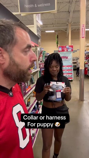 Collar vs Harness for Puppies: Which is Better?