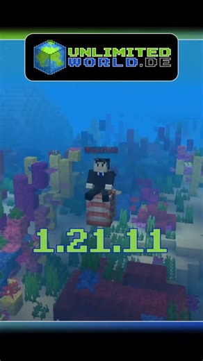 1.21.11 🐚✧˖° #minecraft