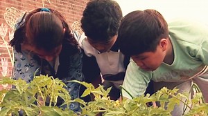 What to Watch: 5 films about school from a different perspective