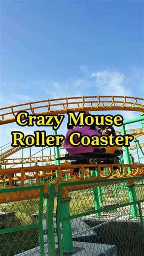 Exciting Mouse Roller Coaster Experience for Everyone